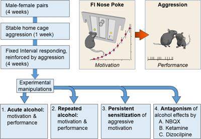 The Urge to Fight: Persistent Escalation by Alcohol and Role of NMDA Receptors in Mice